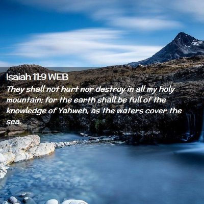Picture 02 - Isaiah 11:9 WEB - They shall not hurt nor destroy in all my holy - Bible Verse Picture