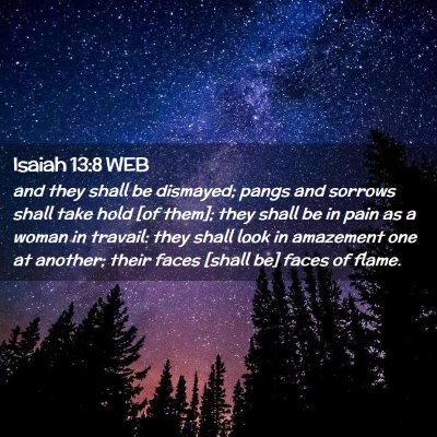 Picture 02 - Isaiah 13:8 WEB - and they shall be dismayed; pangs and sorrows - Bible Verse Picture