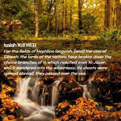 Picture 02 - Isaiah 16:8 WEB - For the fields of Heshbon languish, [and] the - Bible Verse Picture