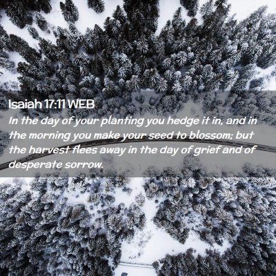 Picture 02 - Isaiah 17:11 WEB - In the day of your planting you hedge it in, and - Bible Verse Picture