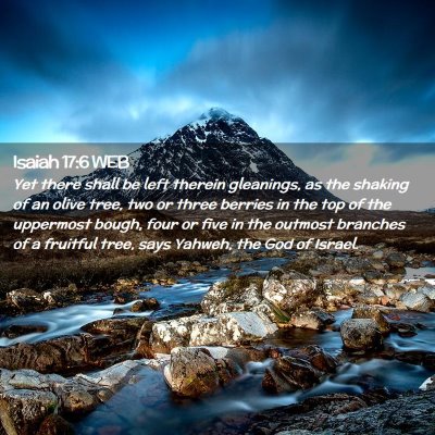 Picture 02 - Isaiah 17:6 WEB - Yet there shall be left therein gleanings, as the - Bible Verse Picture