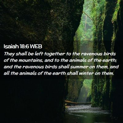 Picture 02 - Isaiah 18:6 WEB - They shall be left together to the ravenous birds - Bible Verse Picture