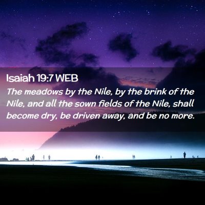 Picture 02 - Isaiah 19:7 WEB - The meadows by the Nile, by the brink of the - Bible Verse Picture