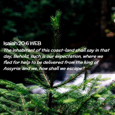 Picture 02 - Isaiah 20:6 WEB - The inhabitant of this coast-land shall say in - Bible Verse Picture
