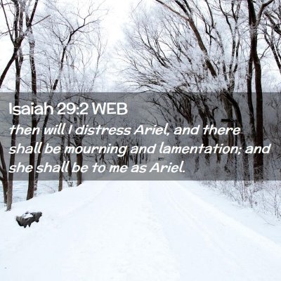 Picture 02 - Isaiah 29:2 WEB - then will I distress Ariel, and there shall be - Bible Verse Picture