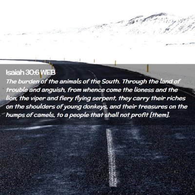 Picture 02 - Isaiah 30:6 WEB - The burden of the animals of the South. Through - Bible Verse Picture