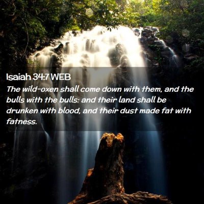 Picture 02 - Isaiah 34:7 WEB - The wild-oxen shall come down with them, and the - Bible Verse Picture