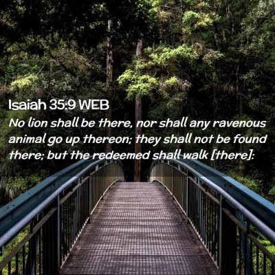 Picture 02 - Isaiah 35:9 WEB - No lion shall be there, nor shall any ravenous - Bible Verse Picture