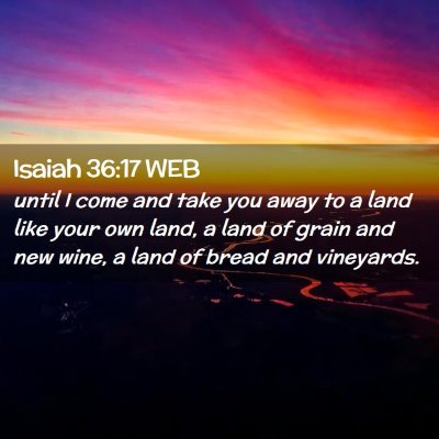 Picture 02 - Isaiah 36:17 WEB - until I come and take you away to a land like - Bible Verse Picture