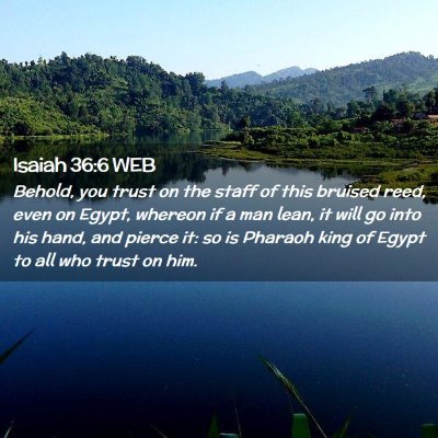 Picture 02 - Isaiah 36:6 WEB - Behold, you trust on the staff of this bruised - Bible Verse Picture