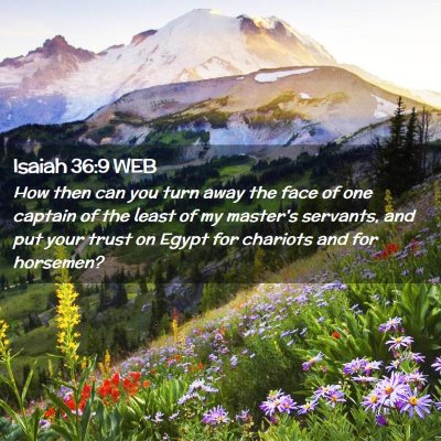 Picture 02 - Isaiah 36:9 WEB - How then can you turn away the face of one - Bible Verse Picture