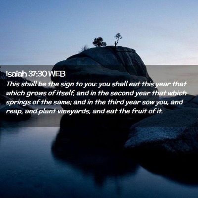 Picture 02 - Isaiah 37:30 WEB - This shall be the sign to you: you shall eat this - Bible Verse Picture