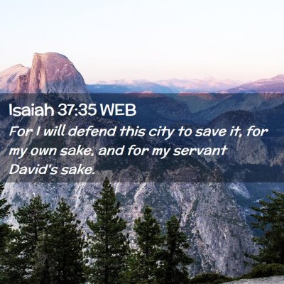 Picture 02 - Isaiah 37:35 WEB - For I will defend this city to save it, for my - Bible Verse Picture