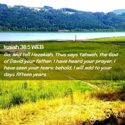 Picture 02 - Isaiah 38:5 WEB - Go, and tell Hezekiah, Thus says Yahweh, the God - Bible Verse Picture