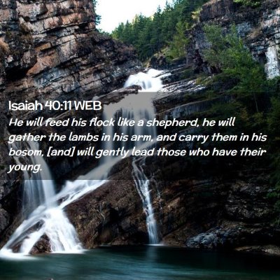 Picture 02 - Isaiah 40:11 WEB - He will feed his flock like a shepherd, he will - Bible Verse Picture