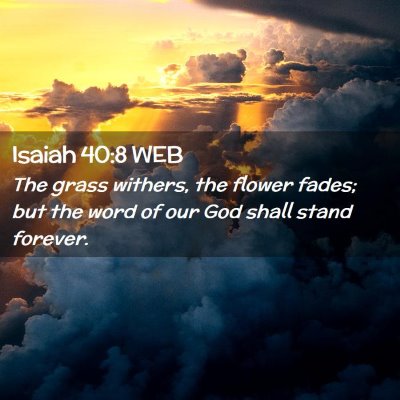 Picture 02 - Isaiah 40:8 WEB - The grass withers, the flower fades; but the word - Bible Verse Picture
