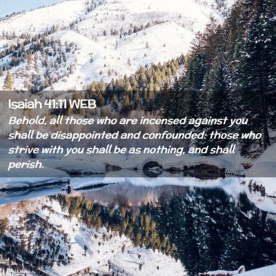 Picture 02 - Isaiah 41:11 WEB - Behold, all those who are incensed against you - Bible Verse Picture