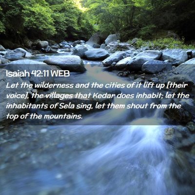 Picture 02 - Isaiah 42:11 WEB - Let the wilderness and the cities of it lift up - Bible Verse Picture