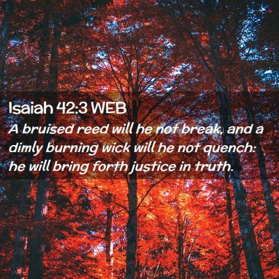 Picture 02 - Isaiah 42:3 WEB - A bruised reed will he not break, and a dimly - Bible Verse Picture
