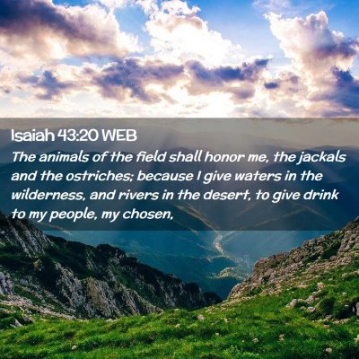 Picture 02 - Isaiah 43:20 WEB - The animals of the field shall honor me, the - Bible Verse Picture