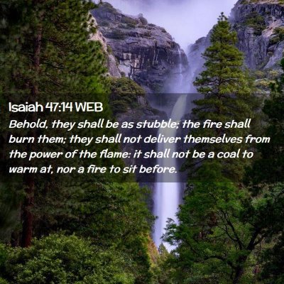 Picture 02 - Isaiah 47:14 WEB - Behold, they shall be as stubble; the fire shall - Bible Verse Picture