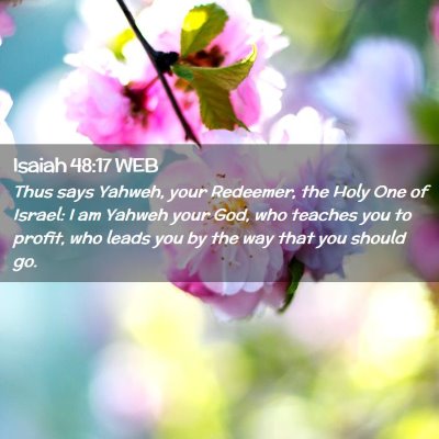 Picture 02 - Isaiah 48:17 WEB - Thus says Yahweh, your Redeemer, the Holy One of - Bible Verse Picture