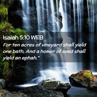 Picture 02 - Isaiah 5:10 WEB - For ten acres of vineyard shall yield one bath, - Bible Verse Picture
