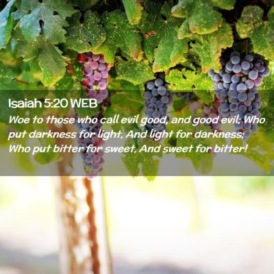 Picture 02 - Isaiah 5:20 WEB - Woe to those who call evil good, and good evil; - Bible Verse Picture