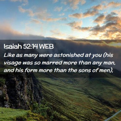 Picture 02 - Isaiah 52:14 WEB - Like as many were astonished at you (his visage - Bible Verse Picture