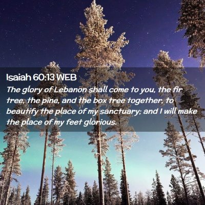 Picture 02 - Isaiah 60:13 WEB - The glory of Lebanon shall come to you, the fir - Bible Verse Picture