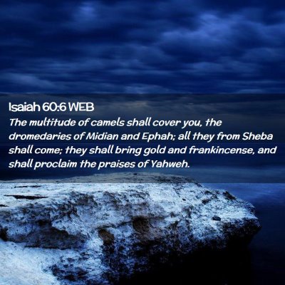 Picture 02 - Isaiah 60:6 WEB - The multitude of camels shall cover you, the - Bible Verse Picture