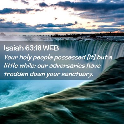 Picture 02 - Isaiah 63:18 WEB - Your holy people possessed [it] but a little - Bible Verse Picture