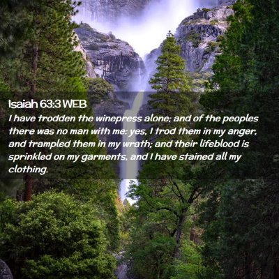 Picture 02 - Isaiah 63:3 WEB - I have trodden the winepress alone; and of the - Bible Verse Picture