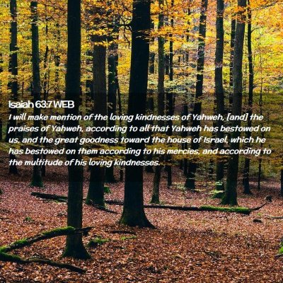 Picture 02 - Isaiah 63:7 WEB - I will make mention of the loving kindnesses of - Bible Verse Picture