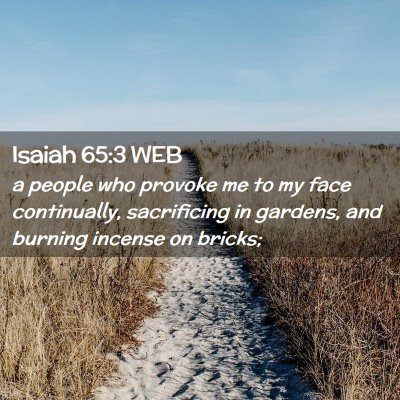 Picture 02 - Isaiah 65:3 WEB - a people who provoke me to my face continually, - Bible Verse Picture