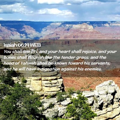 Picture 02 - Isaiah 66:14 WEB - You shall see [it], and your heart shall rejoice, - Bible Verse Picture