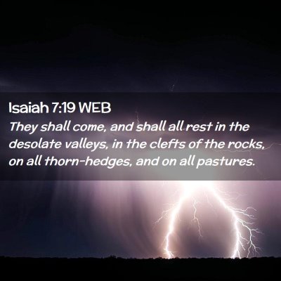 Picture 02 - Isaiah 7:19 WEB - They shall come, and shall all rest in the - Bible Verse Picture