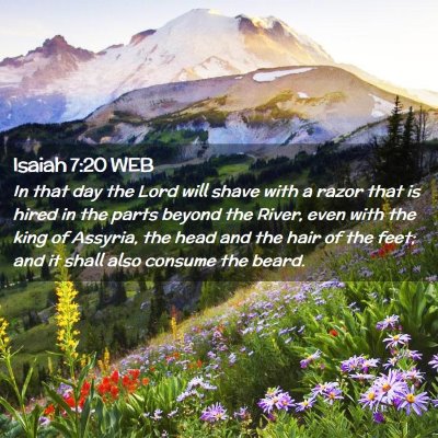 Picture 02 - Isaiah 7:20 WEB - In that day the Lord will shave with a razor that - Bible Verse Picture
