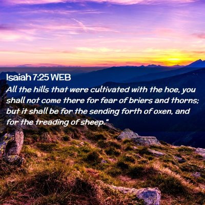 Picture 02 - Isaiah 7:25 WEB - All the hills that were cultivated with the hoe, - Bible Verse Picture
