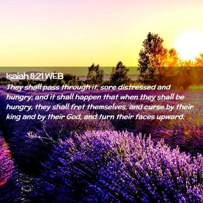 Picture 02 - Isaiah 8:21 WEB - They shall pass through it, sore distressed and - Bible Verse Picture