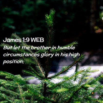 Picture 02 - James 1:9 WEB - But let the brother in humble circumstances glory - Bible Verse Picture