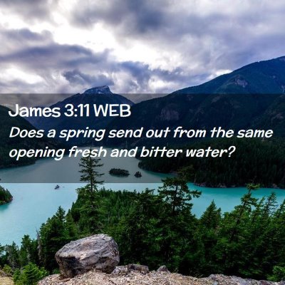 Picture 02 - James 3:11 WEB - Does a spring send out from the same opening - Bible Verse Picture