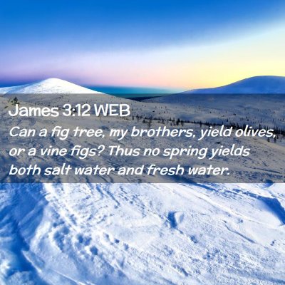 Picture 02 - James 3:12 WEB - Can a fig tree, my brothers, yield olives, or a - Bible Verse Picture
