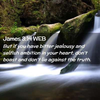 Picture 02 - James 3:14 WEB - But if you have bitter jealousy and selfish - Bible Verse Picture