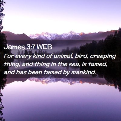 Picture 02 - James 3:7 WEB - For every kind of animal, bird, creeping thing, - Bible Verse Picture