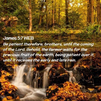 Picture 02 - James 5:7 WEB - Be patient therefore, brothers, until the coming - Bible Verse Picture