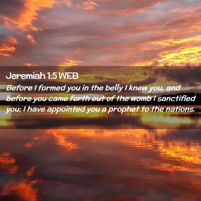 Picture 02 - Jeremiah 1:5 WEB - Before I formed you in the belly I knew you, and - Bible Verse Picture