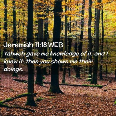 Picture 02 - Jeremiah 11:18 WEB - Yahweh gave me knowledge of it, and I knew it: - Bible Verse Picture
