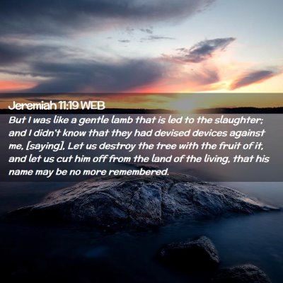 Picture 02 - Jeremiah 11:19 WEB - But I was like a gentle lamb that is led to the - Bible Verse Picture