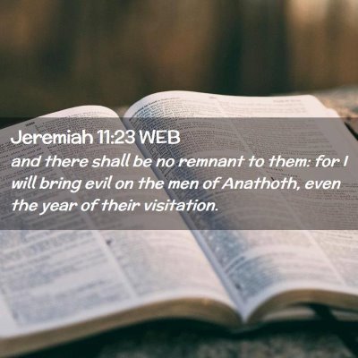 Picture 02 - Jeremiah 11:23 WEB - and there shall be no remnant to them: for I will - Bible Verse Picture